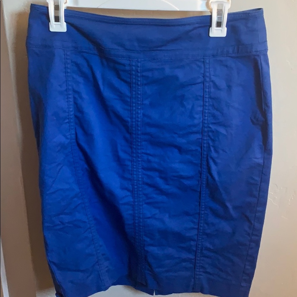 Ann Taylor skirt